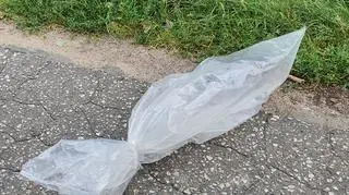 "Na początku myślałam, że to worek ze śmieciami"