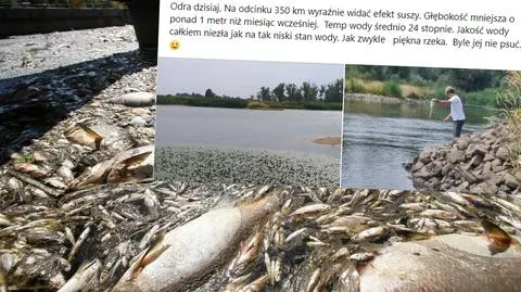 Naukowcy badający Odrę napisali 21 lipca: "Piękna rzeka.  Byle jej nie psuć". W złą godzinę