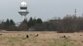 Wieża kontroli lotów na warszawskim Okęciu