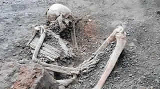 Szczątki odnalezione przez archeologów w Pompejach