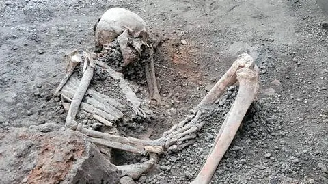 "Nowoczesne techniki pozwalają zrozumieć piekło, które w dwa dni całkowicie zniszczyło Pompeje"