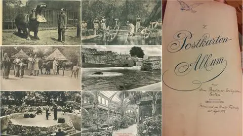 Album z archiwalnymi pocztówkami znaleziony w zoo Wrocław