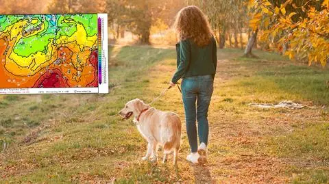 jesien mapka meteło