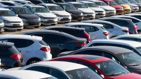 samochody salon parking shutterstock_1859448355