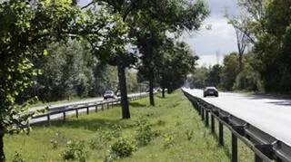 Przestrzeń buforowa pomiędzy obszarami o dużym ruchu