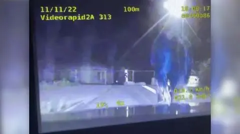 Galopem zwiedzał miasto. Koń uciekinier zatrzymany w ślepej uliczce