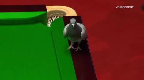 Nieproszony gość na mistrzostwach świata. Wylądował bezpośrednio na stole