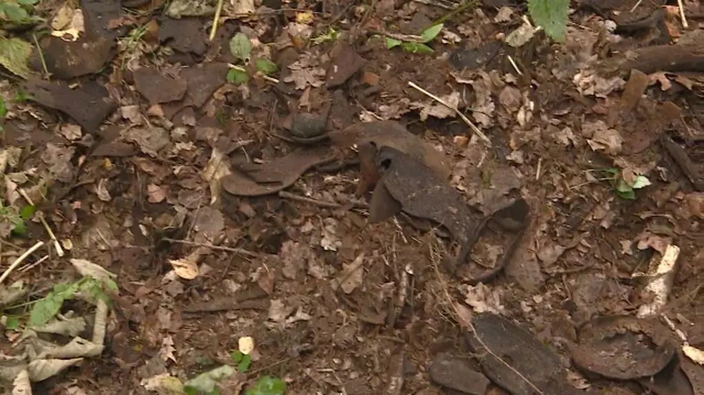 100 metrów od bramy Muzeum Stutthof leży sterta rozkładających się podeszw