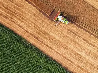 Zmiany klimatyczne wpływają na zbiory