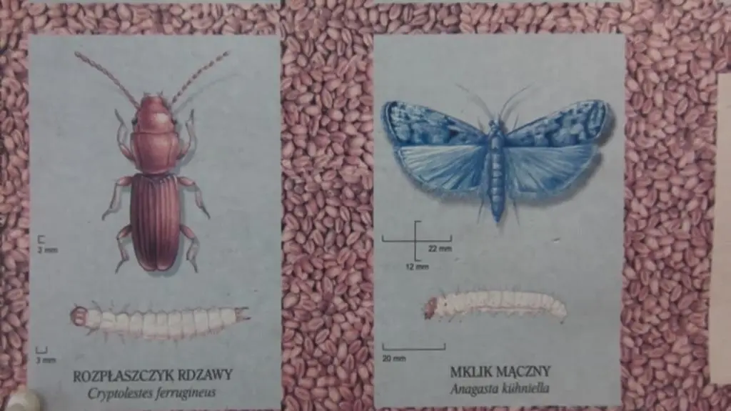 Lista wrogów przedsiębiorstwa