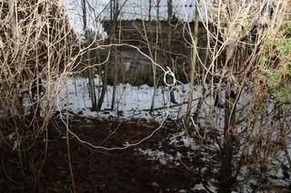 Mężczyźni zakładali wnyki w lesie 