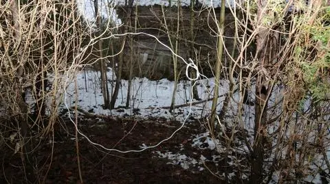 Mężczyźni zakładali wnyki w lesie 