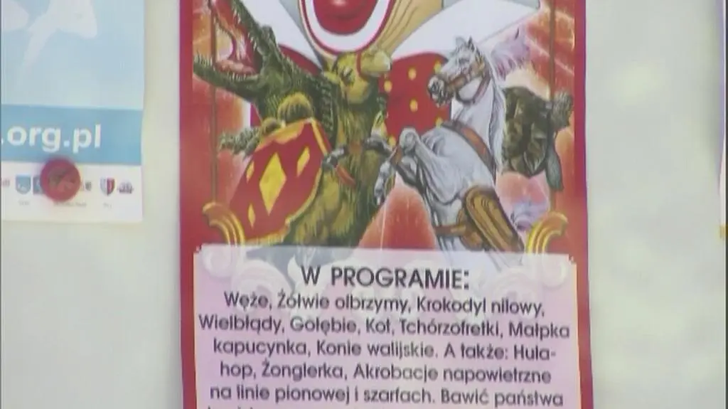 Niedźwiedź opuścił cyrk, zamieszka w zoo