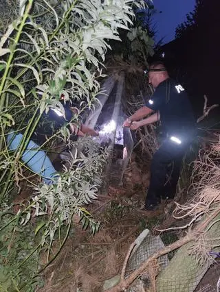 Interwencja policji i przedstawicieli fundacji