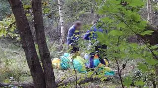 Strażacy pomagali paralotniarzowi, który utknął na drzewie 