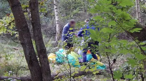 Strażacy pomagali paralotniarzowi, który utknął na drzewie 