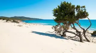 Plaża Porto Pino na południu Sardynii