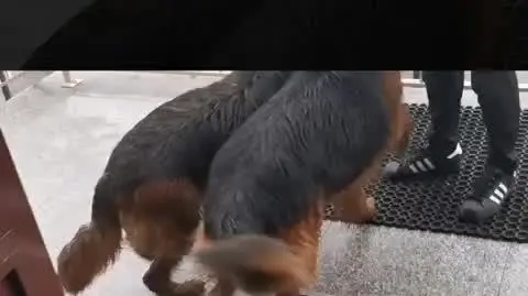 84_145873_1617358019381