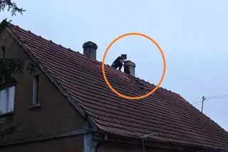 Był poszukiwany. Przed policjantami schował się na dachu