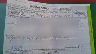 Mężczyzna został ukarany mandatem w wysokości 4 tysięcy złotych