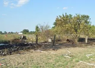 Paliła się trawa oraz pryzma drewna