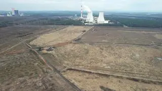 Wycięty las pod budowę fabryki Izery w Jaworznie. Ujęcie z drona, 30 marca 2023