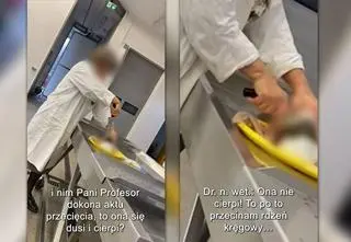 "Na oczach studentów piłuje nożem głowę karpia. 30 minut później ryba wciąż oddycha"