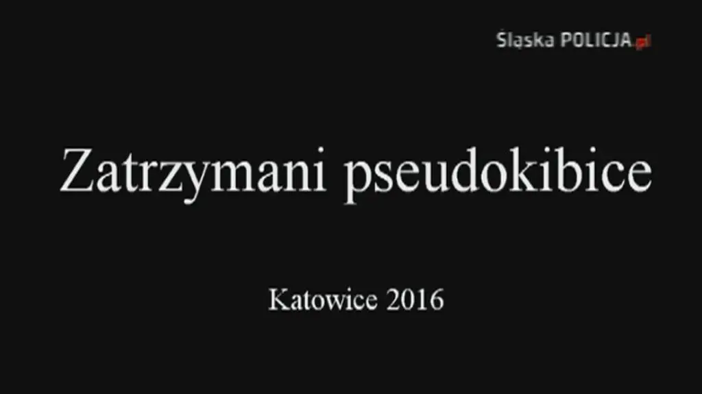 Zatrzymani za zamieszki pod Spodkiem