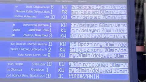 Ruch pociągów na stacji Poznań Główny przywrócony. Są opóźnienia