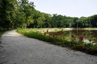 Lubartowski park przeszedł ostatnio rewitalizację