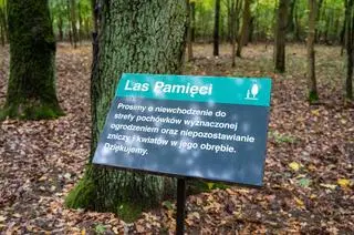 Las Pamięci w Poznaniu