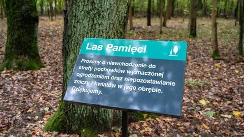 Las Pamięci w Poznaniu