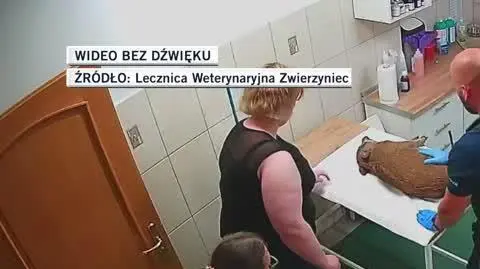 lecznica dla Natalii