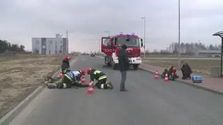 Wyciąganie kota ze studzienki kanalizacyjnej