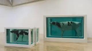 Retrospektywna wystawa Damiena Hirsta w Tate Modern
