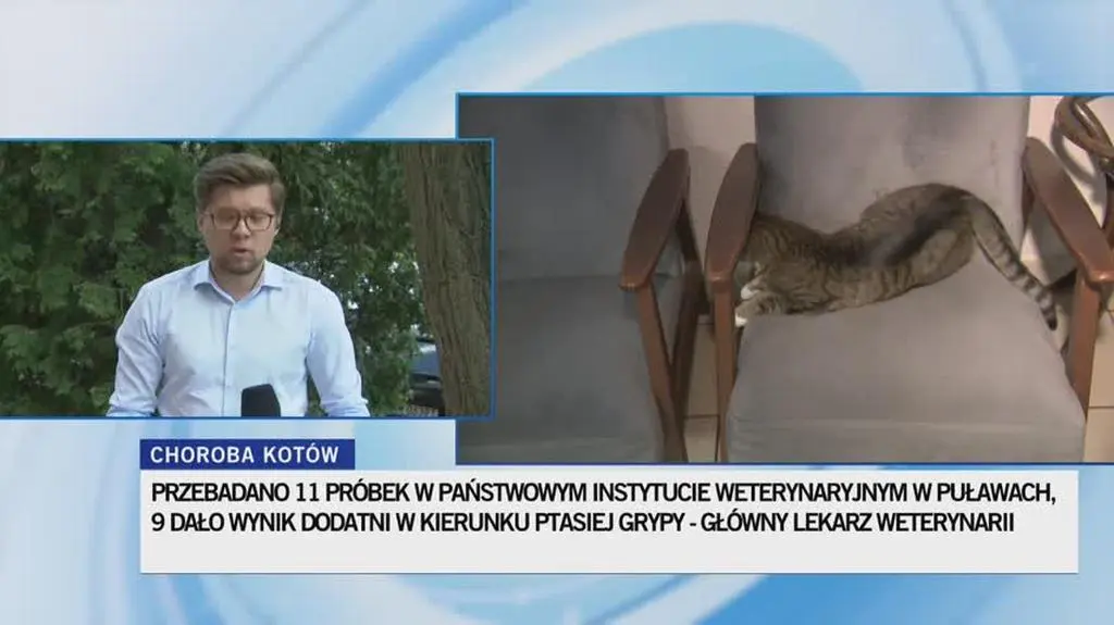 TVN24 Clean_20230626142353(18128)_aac