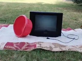 Ukradł telewizor, dywan oraz czerwoną miskę