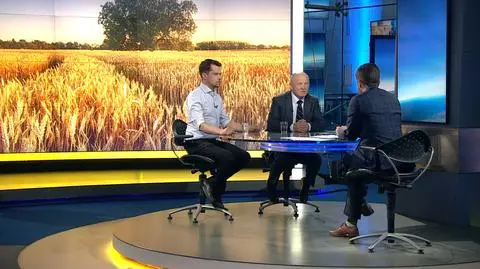 Sawicki: jak rolnicy mogą sprzedawać jak na tonie pszenicy tracą 600-800 złotych?