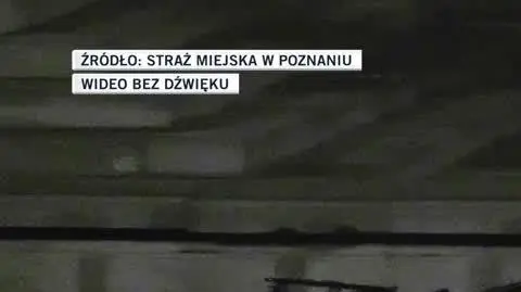 slideshow filip 