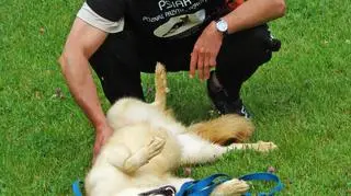 Nerwowy mężczyzna dostaje nerwowego psa