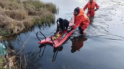 Strażacy z OSP Stawiguda pomogli psu uwięzionemu na lodzie