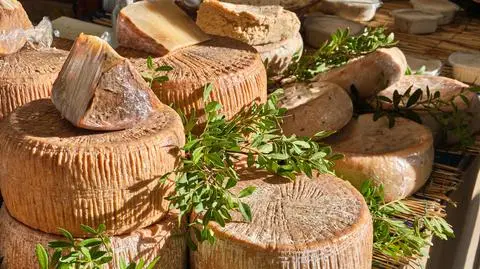 Casu marzu