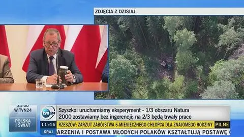 Wycinają choć jest zakaz