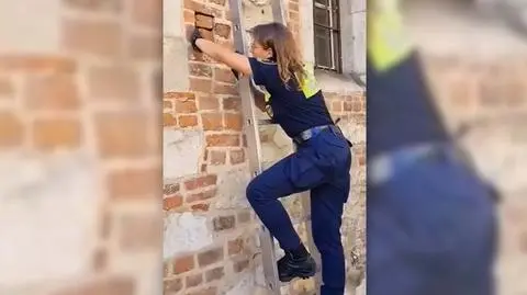 Sikorki wypadły z gniazda i nie potrafiły wrócić. Pomogli strażnicy miejscy