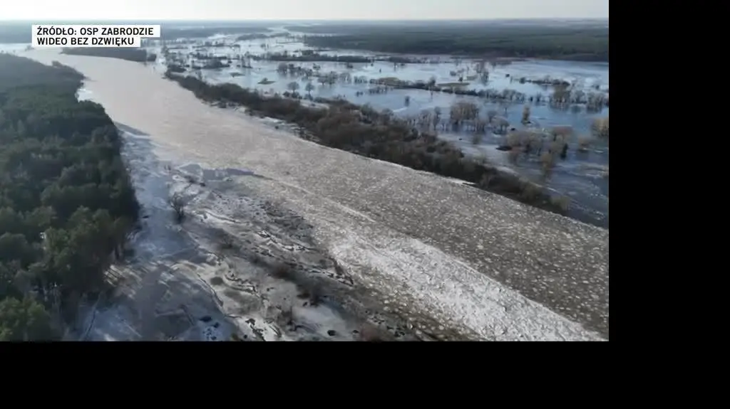 bako