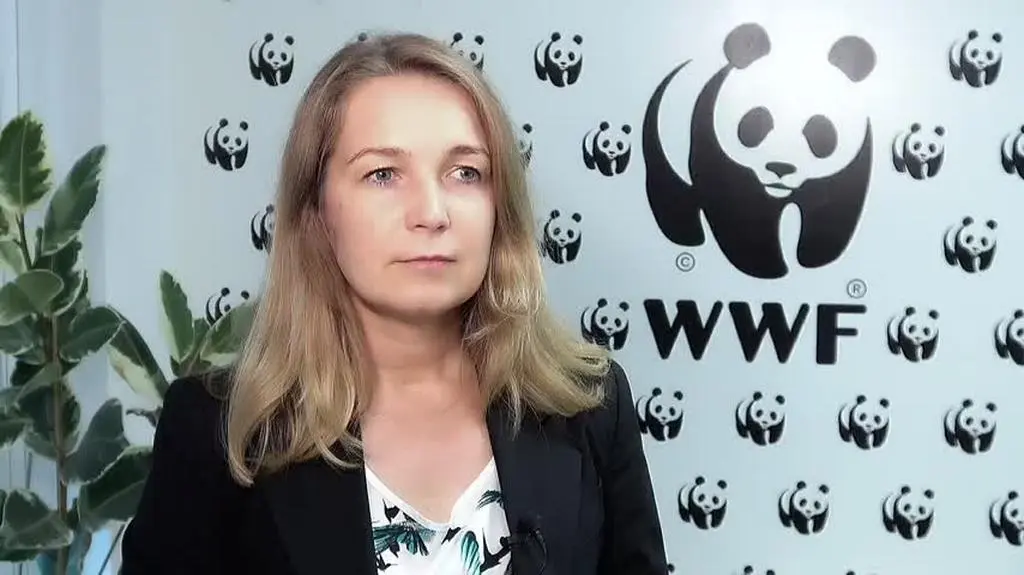 wwf