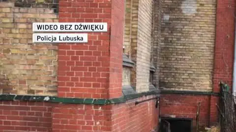 dla Oli slajdszoł
