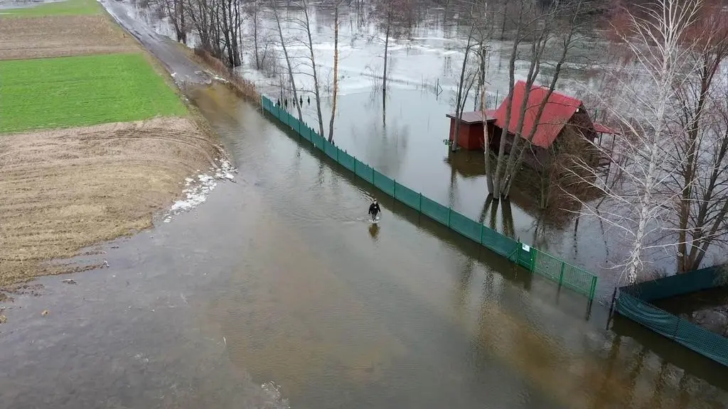Mazowsze. Wysoki poziom Bugu i podtopienia. Eksperci tłumaczą jak temu ...