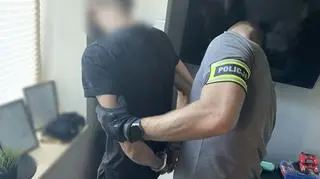 Uderzenie w zorganizowaną grupę przestępczą. 11 osób zatrzymanych