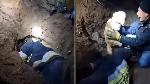 Strażacy uratowali przysypanego psa w Skawinie